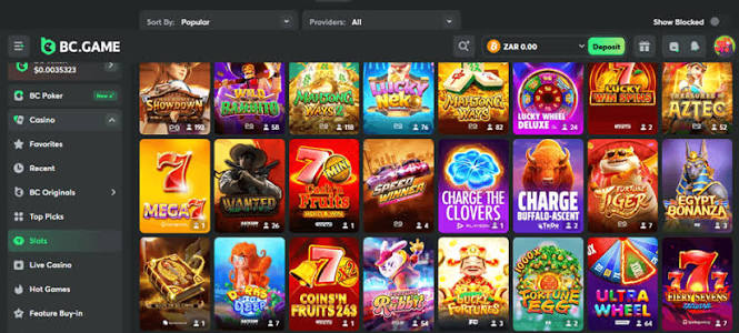 BC.Game US Login Problems Troubleshooting & Solutions